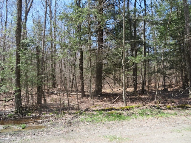 LOT15.1 Ward Loomis Rd, Oxford NY, 13830 land for sale