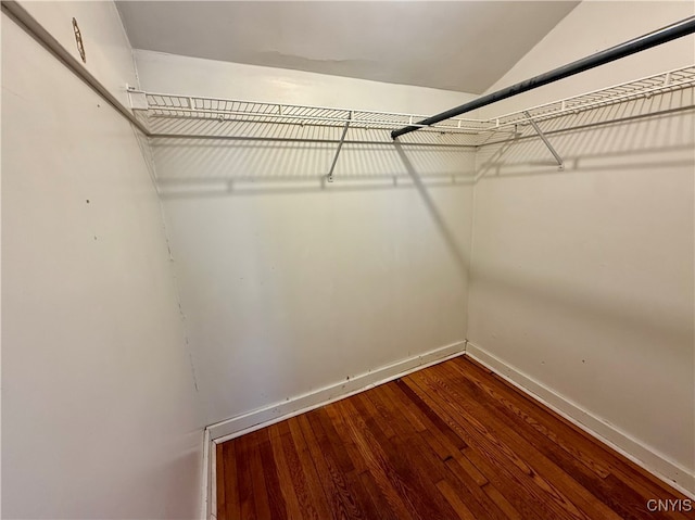 walk in closet with wood-type flooring