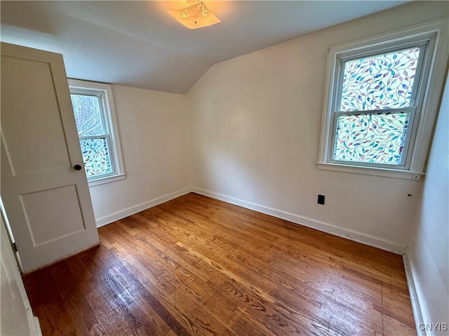 additional living space with a healthy amount of sunlight, lofted ceiling, and wood-type flooring