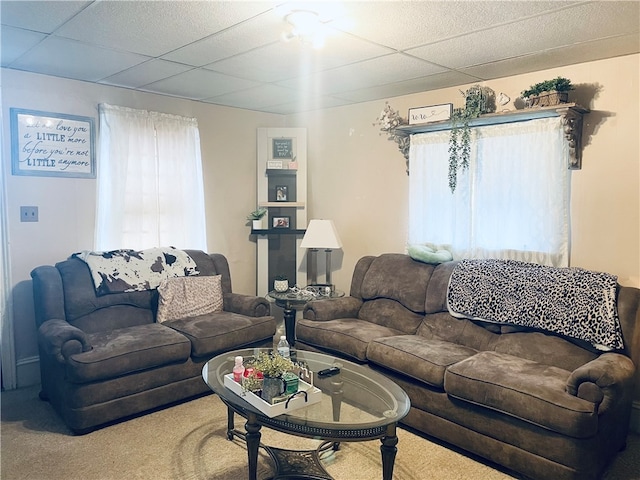 carpeted living room featuring a drop ceiling