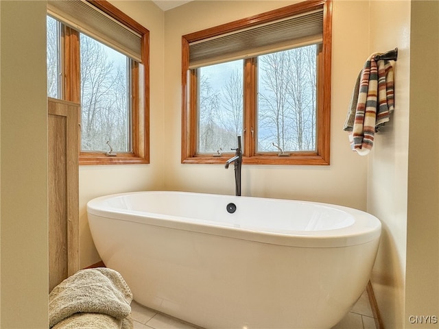 bathroom featuring tile patterned floors and a bathing tub