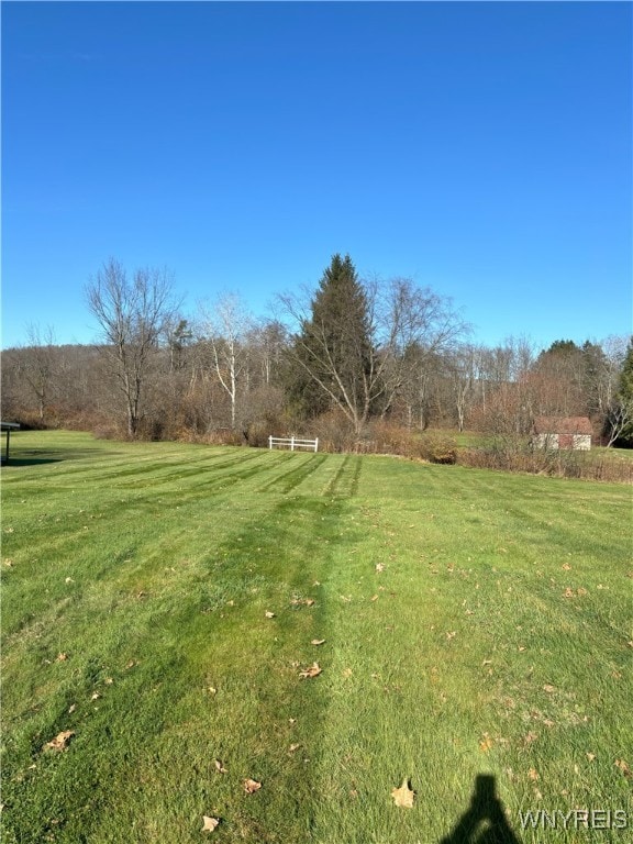 view of yard featuring a rural view