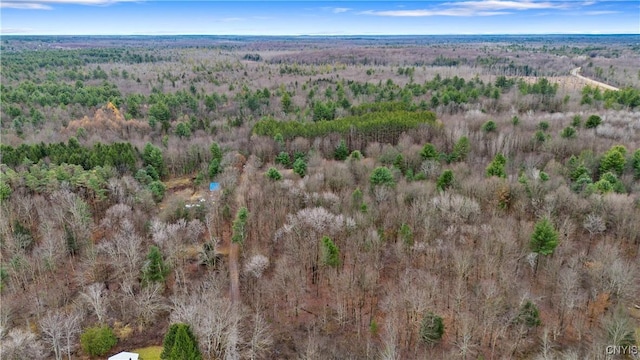 0 Mexico St, Albion, NY 13302 - photo 2