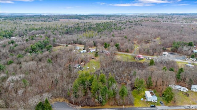 0 Mexico St, Albion, NY 13302 - photo 5