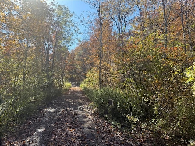 0 Mexico St, Albion, NY 13302 - photo 6
