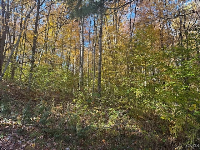 0 Mexico St, Albion, NY 13302 - photo 7