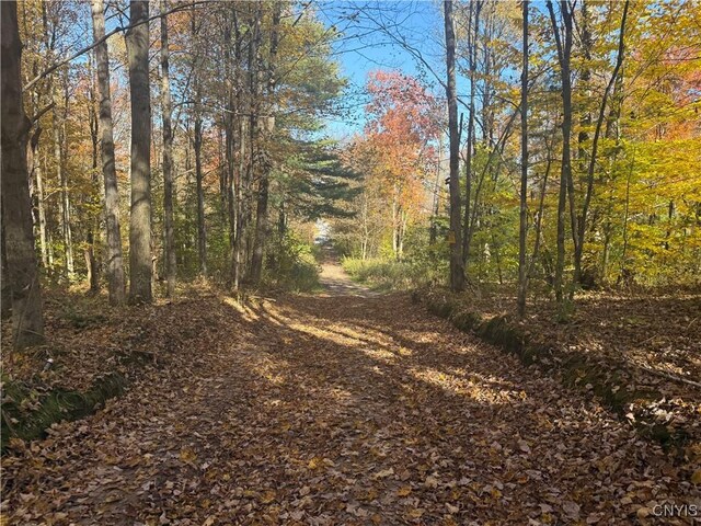 0 Mexico St, Albion, NY 13302 - photo 8