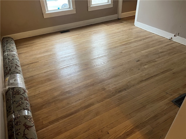 room details with hardwood / wood-style floors