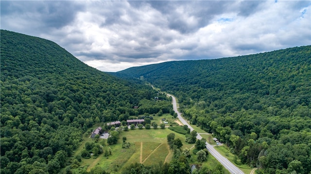 bird's eye view with a mountain view