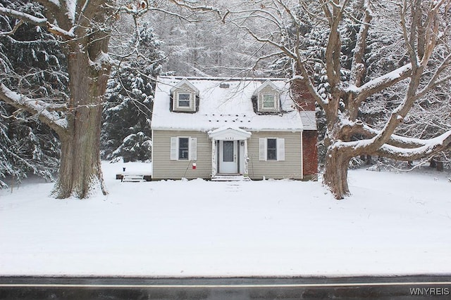 view of cape cod home