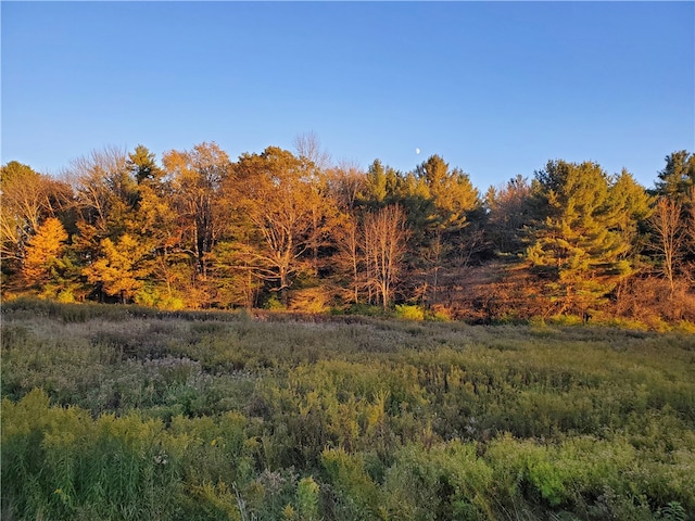 Listing photo 2 for LOT23 County Highway 6, Otego NY 13825