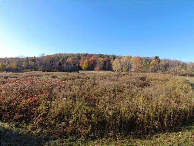 Listing photo 3 for LOT23 County Highway 6, Otego NY 13825