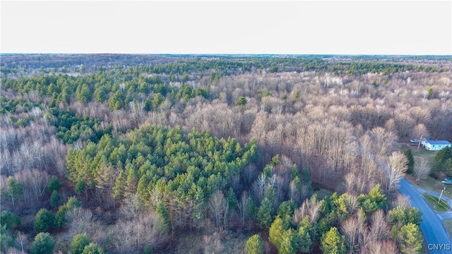 Alexandria St Rd, Wilna NY, 13619 land for sale