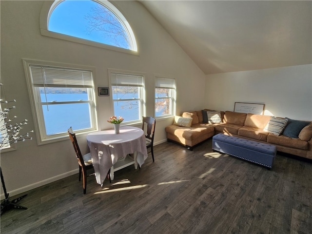 living room featuring high vaulted ceiling and dark wood-type flooring