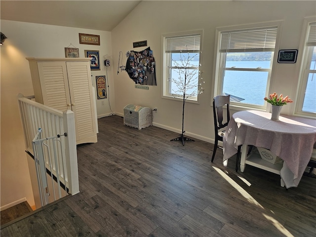 interior space featuring a water view, vaulted ceiling, and dark wood-type flooring