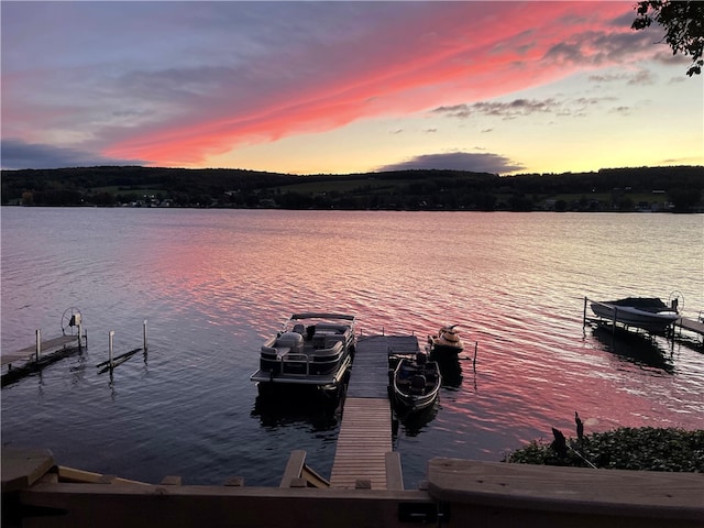 view of dock with a water view