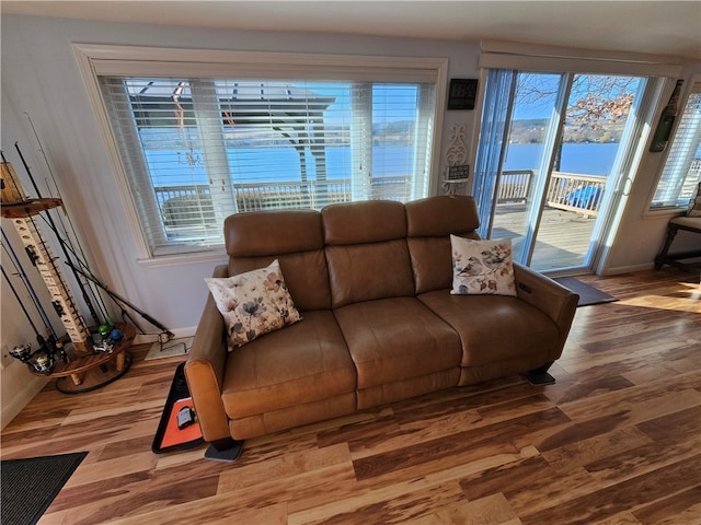 living room featuring a water view and wood-type flooring