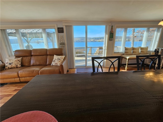 living room with hardwood / wood-style floors and a water view