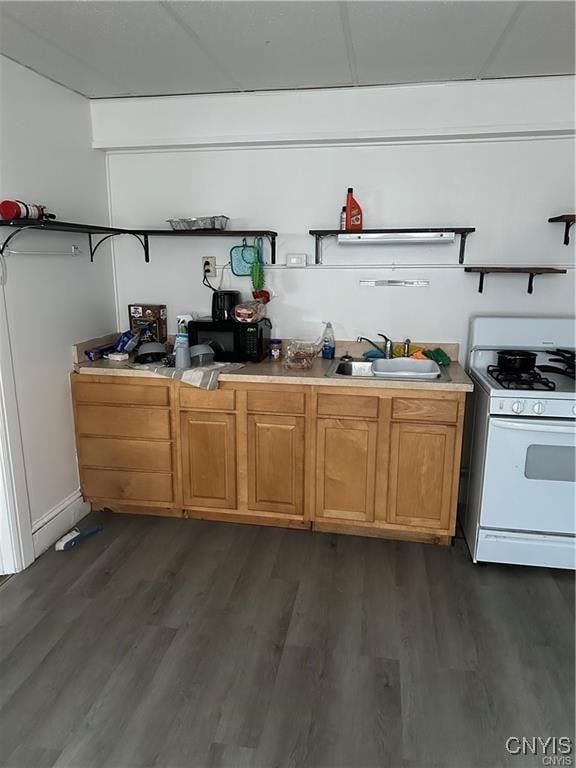 kitchen featuring dark hardwood / wood-style floors, gas range gas stove, and sink