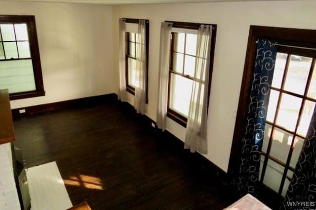 interior space featuring hardwood / wood-style flooring and plenty of natural light