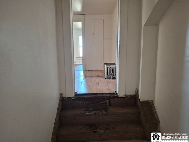 staircase featuring wood-type flooring