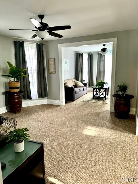 living area featuring carpet