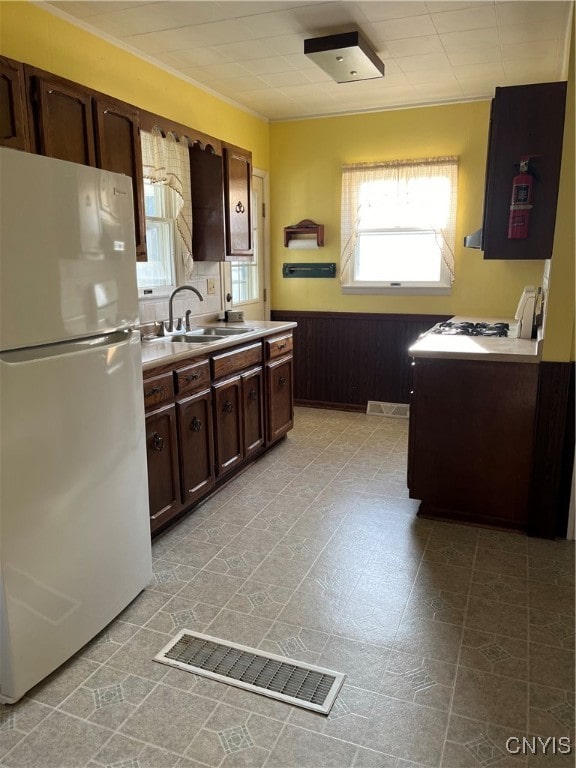 kitchen with ornamental molding, dark brown cabinetry, wooden walls, sink, and white refrigerator