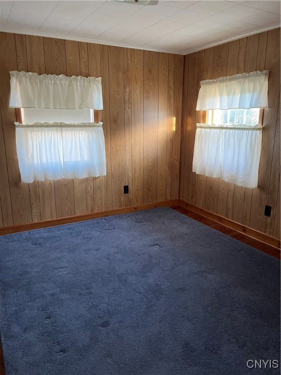 spare room featuring carpet flooring and wood walls