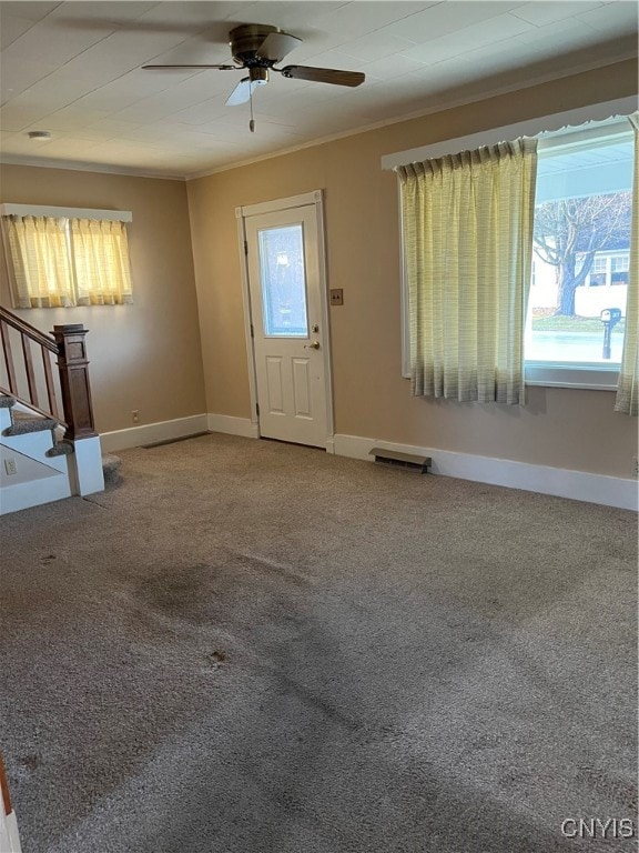 carpeted entryway featuring ceiling fan, a healthy amount of sunlight, and ornamental molding