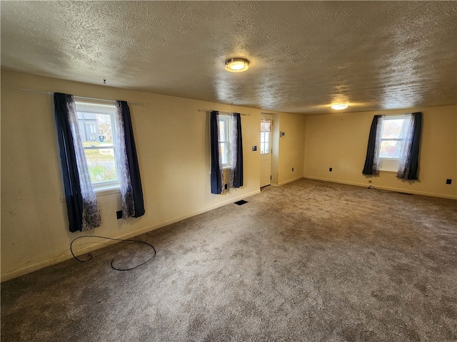 carpeted spare room with a textured ceiling and a wealth of natural light