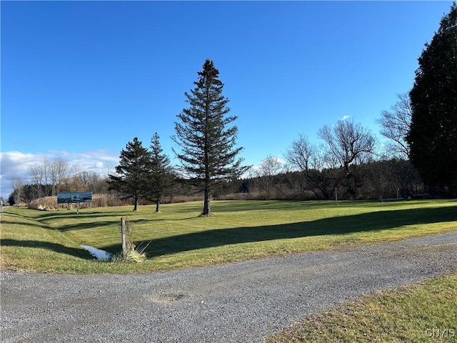 7180 Glur Rd, Verona, NY 13440 - photo 7