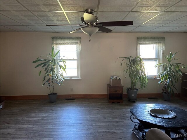 interior space with ceiling fan, plenty of natural light, a drop ceiling, and hardwood / wood-style flooring