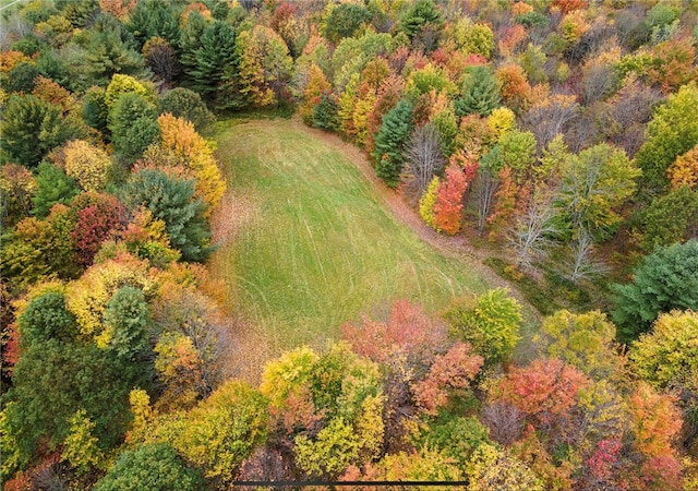 734 Post Rd, Franklin, NY 13775 - bird's eye view