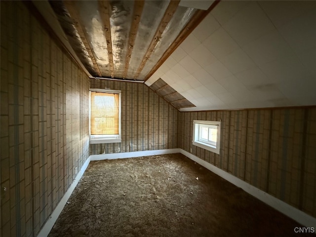 additional living space featuring lofted ceiling