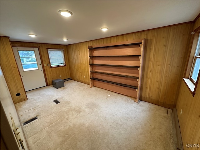 interior space with wooden walls and ornamental molding