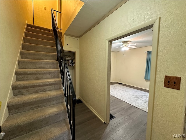 staircase featuring hardwood / wood-style flooring and ceiling fan