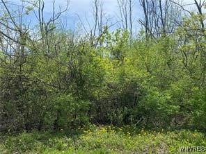 2nd Ave, Niagara NY, 14304 land for sale