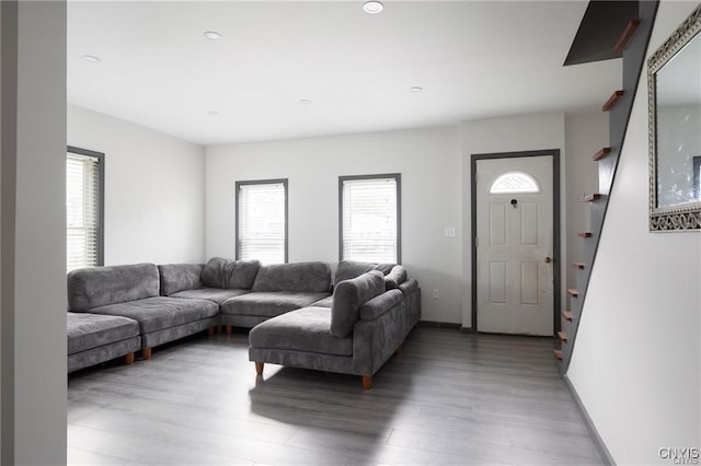 living room with wood-type flooring