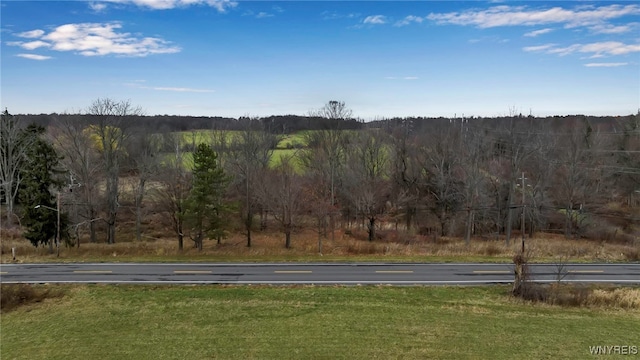 VL Newton Rd, Orchard Park, NY 14127