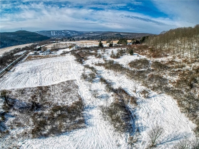 Listing photo 2 for 6078 Nys Rte 242, Lot Ellicottville NY 14731