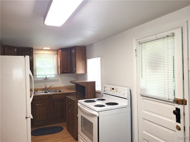 kitchen with dark brown cabinetry, sink, white appliances, and light wood-type flooring