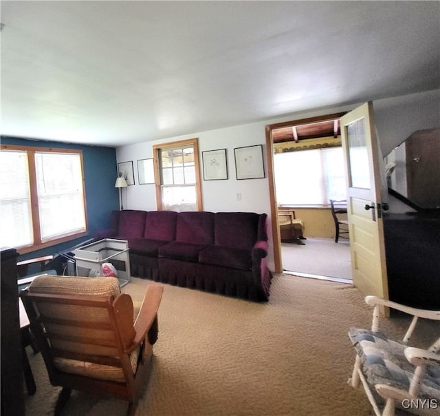 living room with carpet flooring