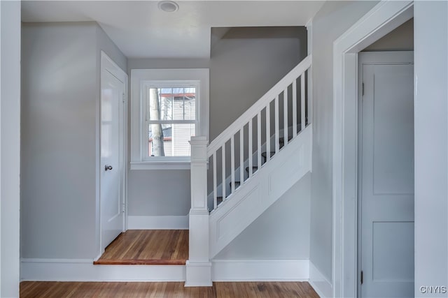 foyer featuring hardwood / wood-style flooring