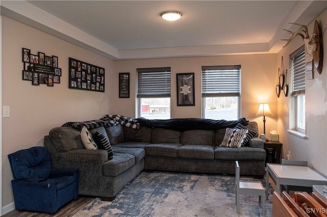 living room featuring wood-type flooring