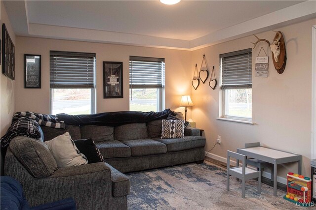 living room featuring hardwood / wood-style floors