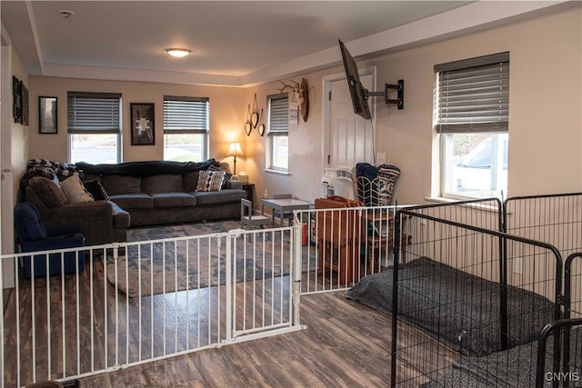 living room with hardwood / wood-style floors