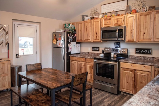 kitchen featuring appliances with stainless steel finishes, dark hardwood / wood-style floors, and vaulted ceiling