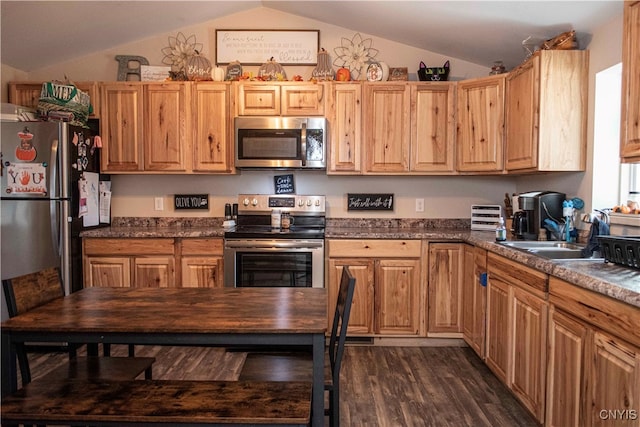 kitchen with dark hardwood / wood-style flooring, sink, appliances with stainless steel finishes, and vaulted ceiling