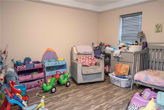 bedroom with hardwood / wood-style floors