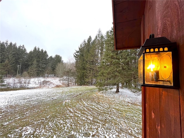 view of yard layered in snow